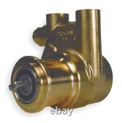 Procon 141A060f11ca 250 Rotary Vane Pump, 3/8 In, 73 Gph